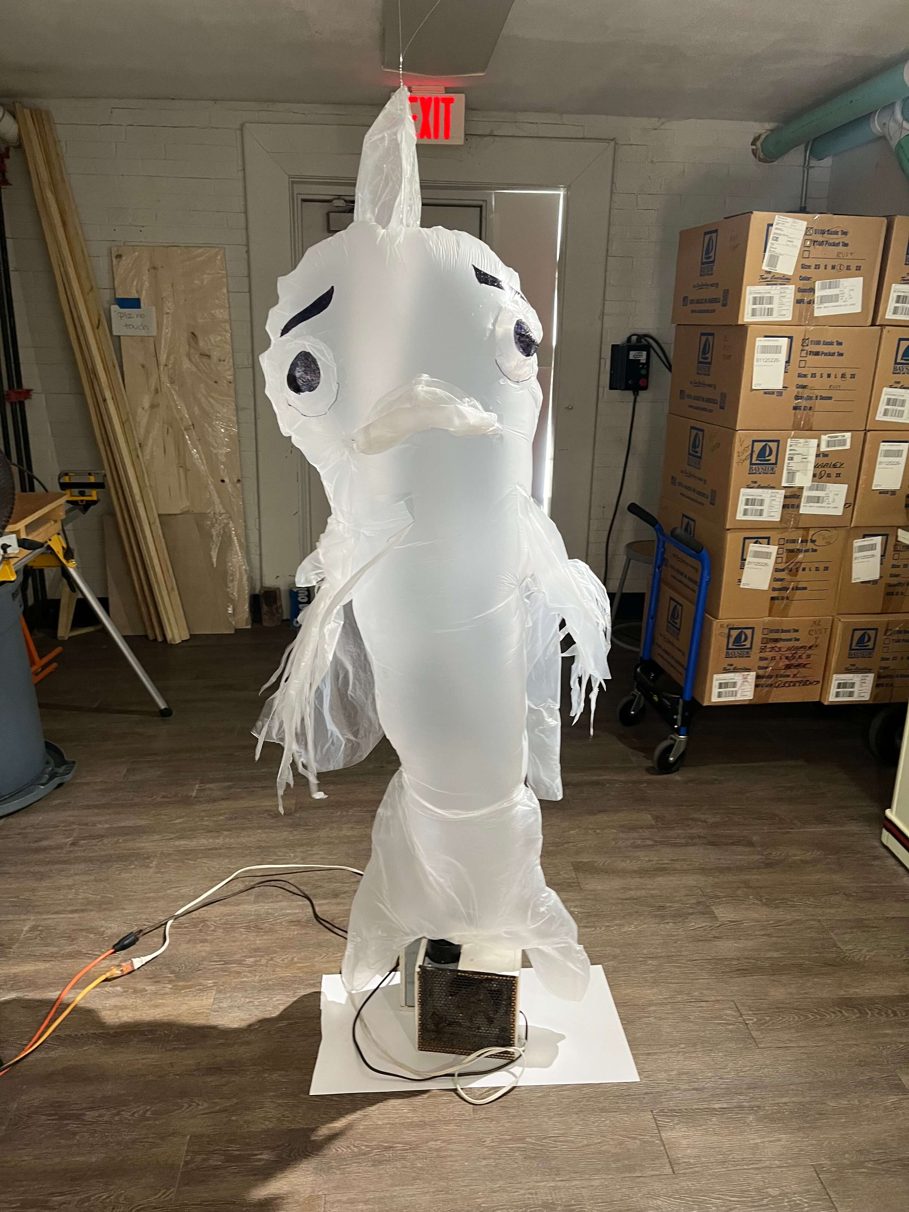 A picture of an inflated fish. 